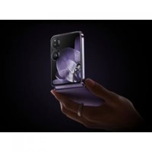 Телефон Xiaomi MIX Flip 12GB/512GB китайская версия (фиолетовый карбон)