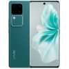 Телефон Vivo V30 12GB/512GB международная версия (изумрудный лес)